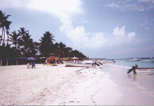 flmarket.JPG (27558 bytes)