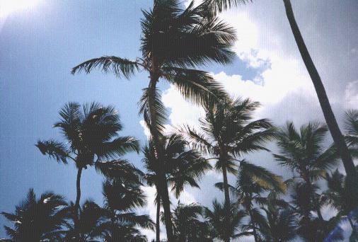 5view.JPG (36409 bytes)