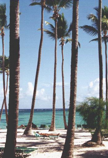 6beach.JPG (39762 bytes)