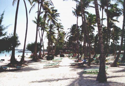 7beach.JPG (44100 bytes)