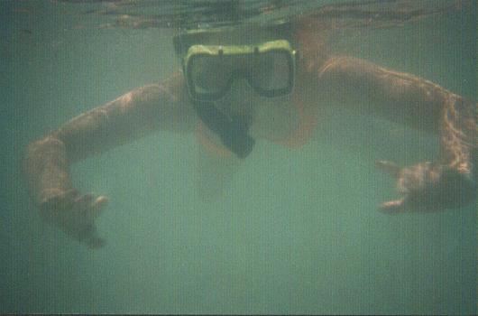 sunsnorkel1.JPG (20616 bytes)