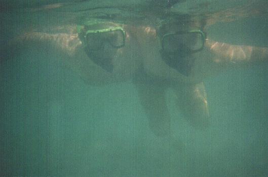 sunsnorkel2.JPG (19426 bytes)