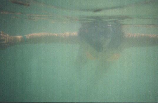 sunsnorkel3.JPG (19447 bytes)