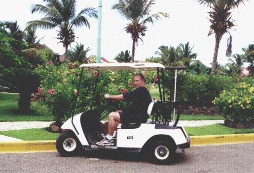 cart.JPG (43786 bytes)
