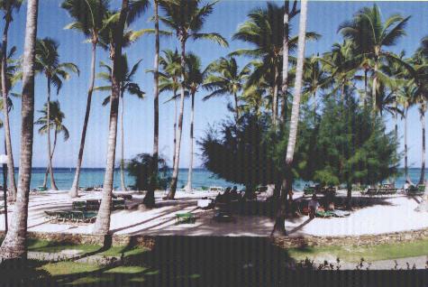 viewst.JPG (37475 bytes)